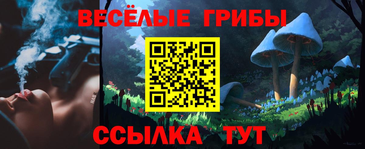 Галлюциногенные грибы мицелий  Галлюциногенные грибы Psilocybe  Вход с VPN  Грязи 
